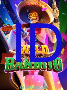 WildBandito